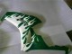 2006-2007 Honda CBR1000RR Motorcycle Fairings - White Green Flame UK