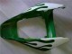 2006-2007 Honda CBR1000RR Motorcycle Fairings - White Green Flame UK