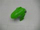2013-2024 Kawasaki Ninja 300 EX300R Motorcycle Fairings - White Green Black UK