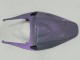 2007-2008 Honda CBR600RR Motorcycle Fairings - Chameleon Grey Dazz Pearl Purple UK
