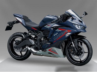 2019-2025 Kawasaki ZX25R ZX-25R Motorcycle Fairing - Blue Red Grey UK