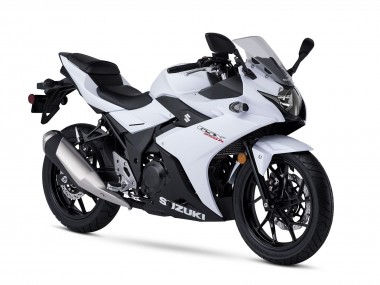 2017-2020 Suzuki GSX250R Motorcycle Fairing Kits - White Black UK