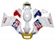 1984-1987 Suzuki RG400 RG500 RG400/500 Motorcycle Fairings - White Red Blue Yellow Motul Michelin Pepsi UK