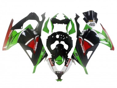 2013-2024 Kawasaki EX300 Motorcycle Fairings - Green White Red Black Elf UK