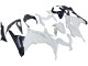 2013-2024 Kawasaki EX300 Motorcycle Fairings - White Black UK