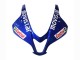 2007-2008 Honda CBR600RR Motorcycle Fairings - Blue Green MoviStar Castrol UK
