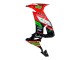 2008-2010 Kawasaki ZX10R Motorcycle Fairings - Red Green Black UK