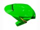 2016-2020 Kawasaki ZX10R Motorcycle Fairings - Green Yellow Red Black Elf Monster UK