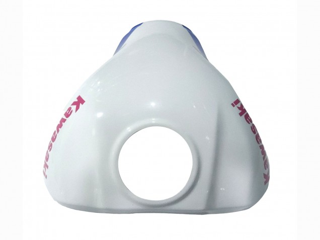 2021-2025 Kawasaki ZX10R Motorcycle Fairings - White Green Blue Black UK