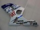 2003-2004 Kawasaki ZX6R Motorcycle Fairings - White Blue Red Fiat UK
