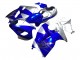 1996-2007 Suzuki GSXR 1300 Hayabusa Motorcycle Fairings - Blue Silver Hayabusa UK