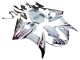2006-2009 Yamaha YZF R6S Motorcycle Fairings - White with Dark Black Flame UK