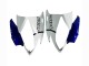 2006-2007 Yamaha YZF 600 R6 Motorcycle Fairings - White Blue Jordan UK