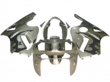 2002-2006 Kawasaki ZX12R Motorcycle Fairings - Silver Black UK