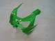 2000-2001 Kawasaki ZX9R Motorcycle Fairings - Green Silver Black UK
