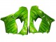 2000-2001 Kawasaki ZX9R Motorcycle Fairings - Green Flame UK