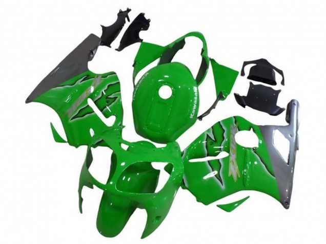 2002-2006 Kawasaki ZX12R Motorcycle Fairings - Green Silver UK