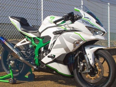 2019-2025 Kawasaki ZX25R ZX-25R Motorcycle Fairings - White Silver Green UK