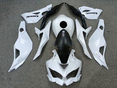 2019-2025 Kawasaki ZX25R ZX-25R Motorcycle Fairings - White Matte Black UK